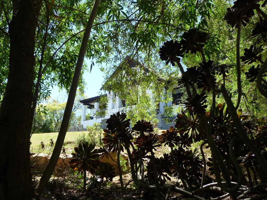 Karoo Soul Oudtshoorn Exterior foto